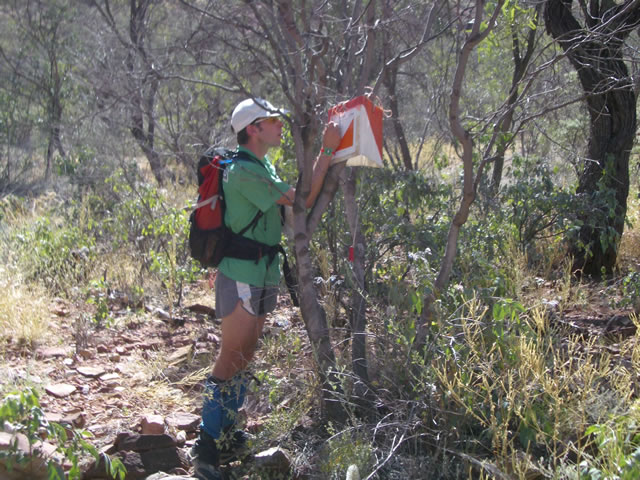 Ah hah - Phil spikes our first checkpoint - #52.