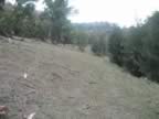 riverbank.jpg (85kb)