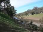 riverview.jpg (66kb)
