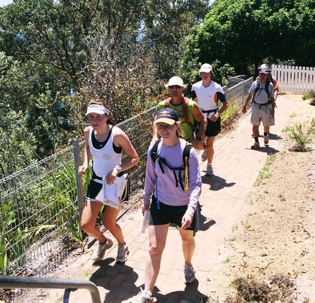 Up to the lookout.