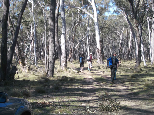 Alexa's crew heads off into Falnash.