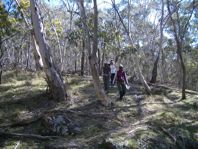 Heading for a checkpoint.