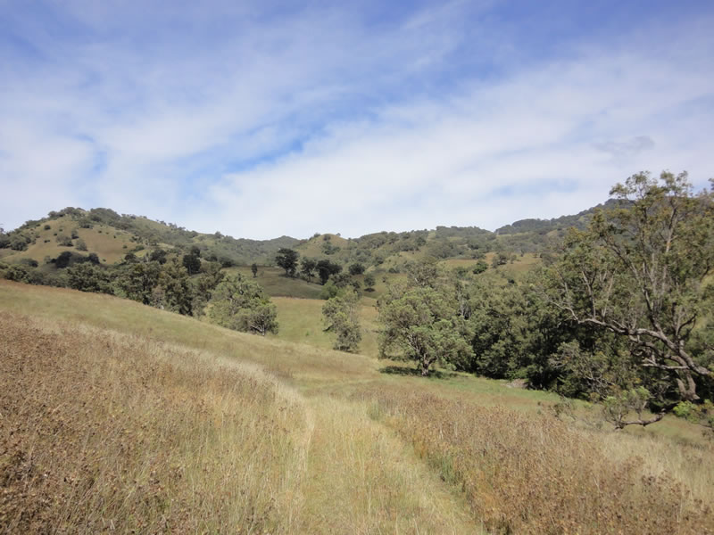 Pleasand rolling hills.