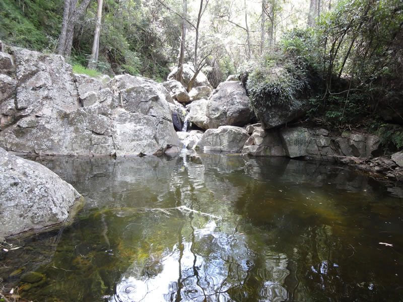 One of many pools.