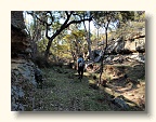 Creek walking