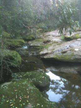 View of creek