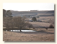 Taralga frosty morning