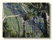 Looking onto the Shoalhaven River, from #91