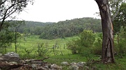 thrugully