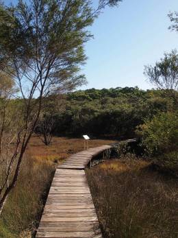 Board walk