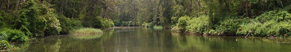 lake eraring