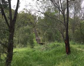 Western Sydney Parklands