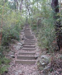 Steps in Lane Cove River NP