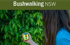 Bushwalking NSW